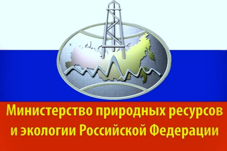 Министерство природных ресурсов и экологии Российской Федерации. Водная стратегия
